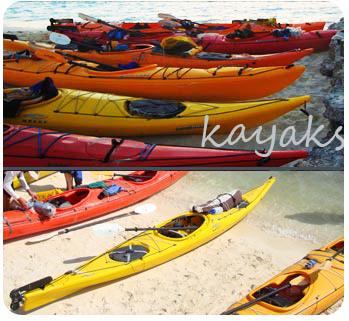 kayaks